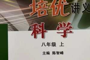 【捐赠[红包]29.90·《YL2170-正比例文化网课-罗老师带你走进重高（八上）》】