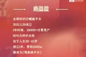 捐赠29.9[红包]·D0539-2023《(鹿大米)鹿盈盈私董会密训【第二期】》