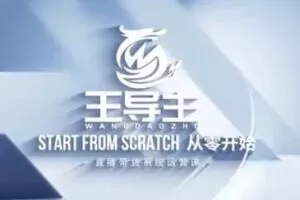 捐赠29.9[红包]·D0543-2023《【王导主】直播带货系统运营课》