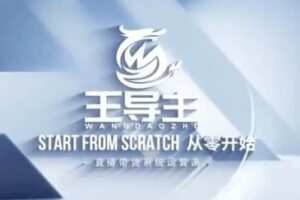 捐赠29.9[红包]·D0543-2023《【王导主】直播带货系统运营课》