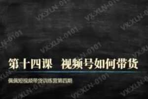 捐赠29.9[红包]·D0553-2023《【佩佩】混剪带货训练营（第四期）》