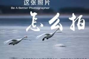 【捐赠9.9[红包]·《Z5056-好机友摄影-从参数、构图到后期思路，告诉你这张照片怎么拍》】