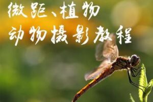 【捐赠9.9[红包]·《Z5056-好机友摄影-微距、植物、动物摄影教程》】