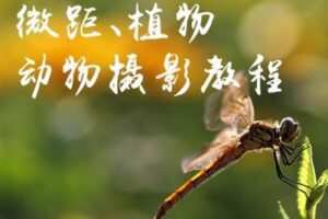 【捐赠9.9[红包]·《Z5056-好机友摄影-微距、植物、动物摄影教程》】