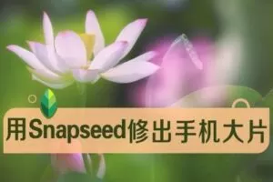 【捐赠9.9[红包]·《Z5056-好机友摄影-修出赞爆朋友圈、短视频的手机大片》】