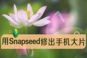 【捐赠9.9[红包]·《Z5056-好机友摄影-修出赞爆朋友圈、短视频的手机大片》】