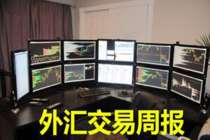 【捐赠29.9[红包]·《Z7667-卓越交易学院-外汇交易周报》】