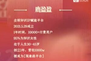 【捐赠29.9[红包]·《D0539-(鹿大米)鹿盈盈私董会密训【第二期】》】 【原版无水印】