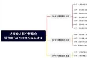 捐赠29.9[红包]·D0582-2022《阿呆达摩盘人群组合投放实战课》
