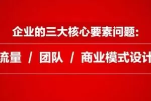 【捐赠29.9[红包]·《D0556-王冲老师流量+团队+模式商业模式实战课》】