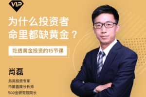 【捐赠19.9[红包]·《Z7531-思投社-为什么投资者命里都缺黄金：吃透黄金投资的15节课》】