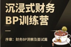 【捐赠19.9[红包]·《Z7579-FI财智学堂-序章：财务BP洞察及面试篇》】