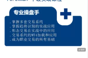【捐赠79.9[红包]·《Z7685-Forexman交易学院-中级实战（系列）课程》】