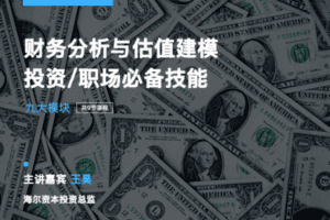 【捐赠19.9[红包]·《Z7619-有见云课堂-财务分析与估值专栏：系统掌握财务分析思维与技能》】