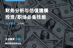 【捐赠19.9[红包]·《Z7619-有见云课堂-财务分析与估值专栏：系统掌握财务分析思维与技能》】