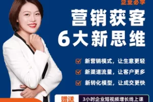 【捐赠29.9[红包]·《Z7760-许茹冰 企业营销获客6大新思维，用更低成本获客（无水印）》】
