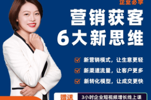 【捐赠29.9[红包]·《Z7760-许茹冰 企业营销获客6大新思维，用更低成本获客（无水印）》】