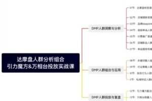 【捐赠29.9[红包]·《D0582-阿呆达摩盘人群组合投放实战课》】