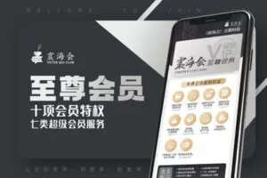 【捐赠[红包]29.90·《Z7764-震海会-【震海会】至尊会员》】