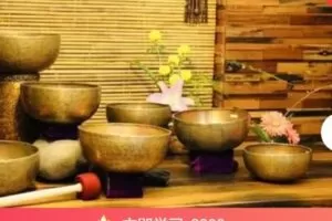 【捐赠[红包]59.99·《AL4779-qian聊-颂钵疗愈与身心灵整合》】