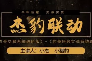 【捐赠[红包]19.80·《Z6046-九鼎学堂-杰豹联动系统课》】