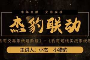【捐赠[红包]19.80·《Z6046-九鼎学堂-杰豹联动系统课》】