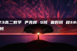 2023高二数学 尹亮辉 S班 暑假班 秋季班