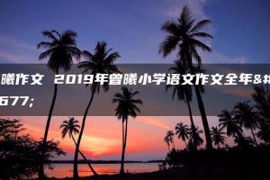 曾曦作文 2019年曾曦小学语文作文全年班