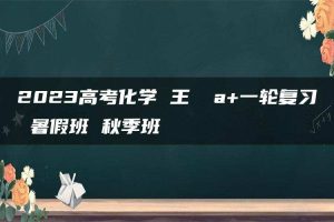 2023高考化学 王嫤 a+一轮复习 暑假班 秋季班