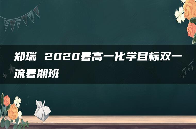郑瑞 2020暑高一化学目标双一流暑期班