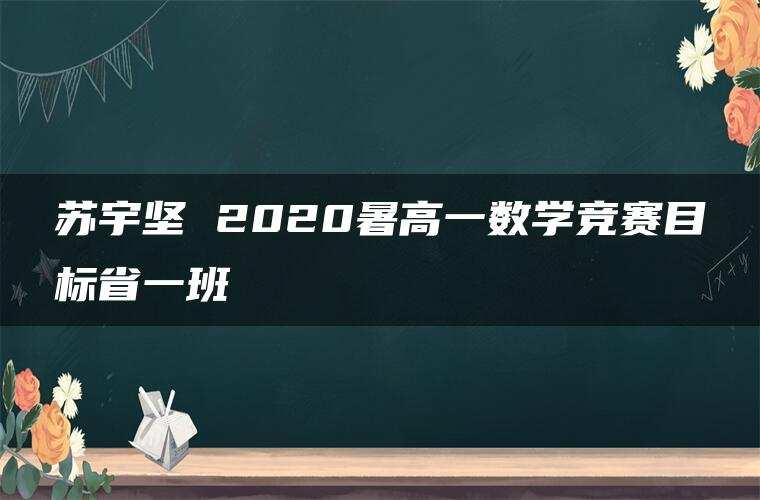 苏宇坚 2020暑高一数学竞赛目标省一班 苏宇坚 2020暑高一数学竞赛目标省一班