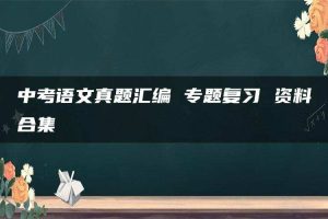 中考语文真题汇编 专题复习 资料合集