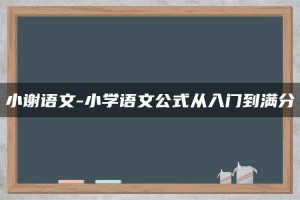 小谢语文-小学语文公式从入门到满分