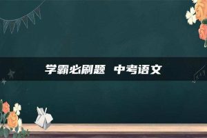 学霸必刷题 中考语文