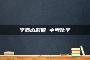 学霸必刷题 中考化学