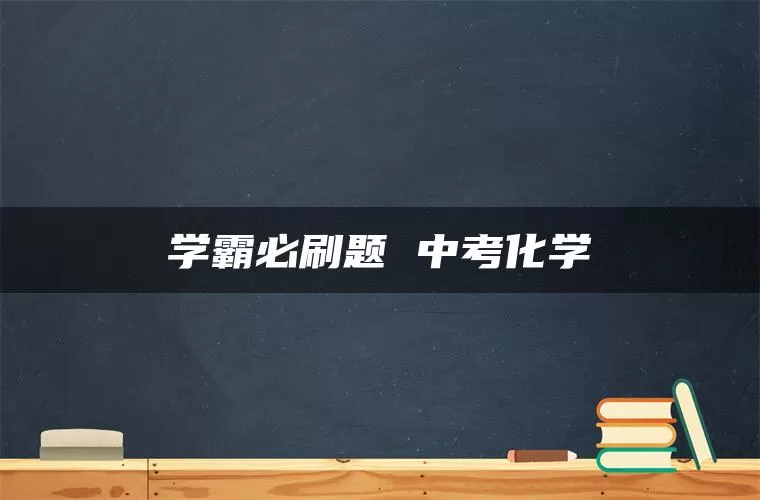 学霸必刷题 中考化学