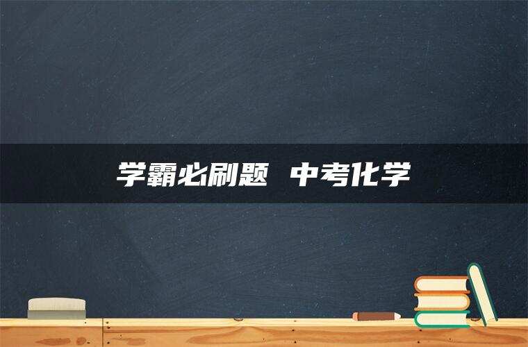 学霸必刷题 中考化学
