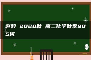 赵毅 2020秋 高二化学秋季985班