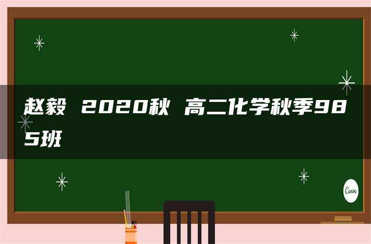 赵毅 2020秋 高二化学秋季985班