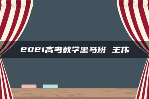 2021高考数学黑马班 王伟