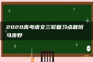 2020高考语文三轮复习点题班 马步野