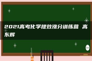 2021高考化学提效涨分训练营 高东辉