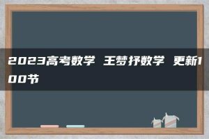 2023高考数学 王梦抒数学 更新100节