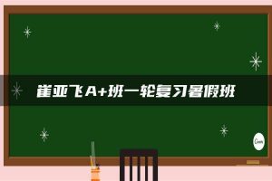 崔亚飞A+班一轮复习暑假班