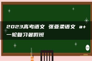 2023高考语文 张亚柔语文 a+一轮复习暑假班