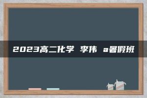 2023高二化学 李伟 a暑假班