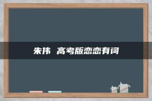 朱伟 高考版恋恋有词