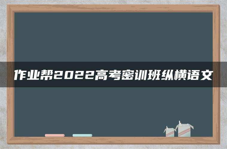 作业帮2022高考密训班纵横语文
