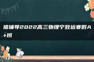 猿辅导2022高三物理宁致远寒假A+班