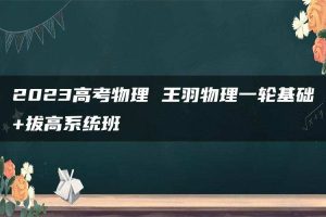 2023高考物理 王羽物理一轮基础+拔高系统班